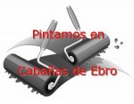 pintor_cabanas-de-ebro.jpg